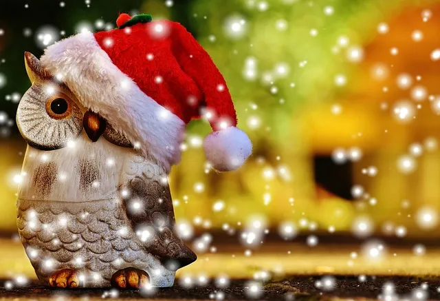 Free Christmas Owl photo and picture
