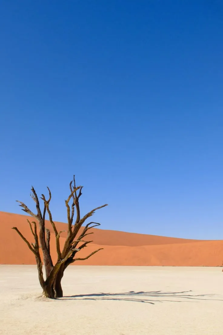 Namib Desert, Namibia