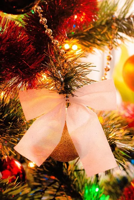 Free Bow Beautiful Wallpaper photo and picture