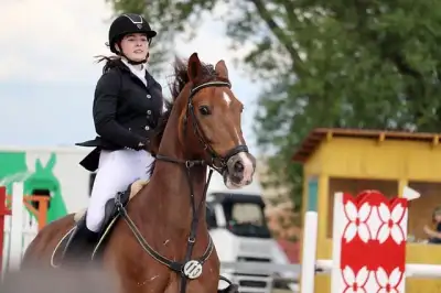 Free Horseback Equestrian photo and picture