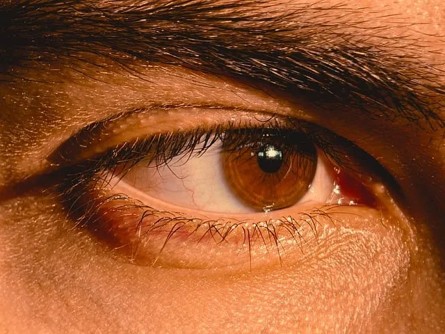 Free Eye Eyes photo and picture