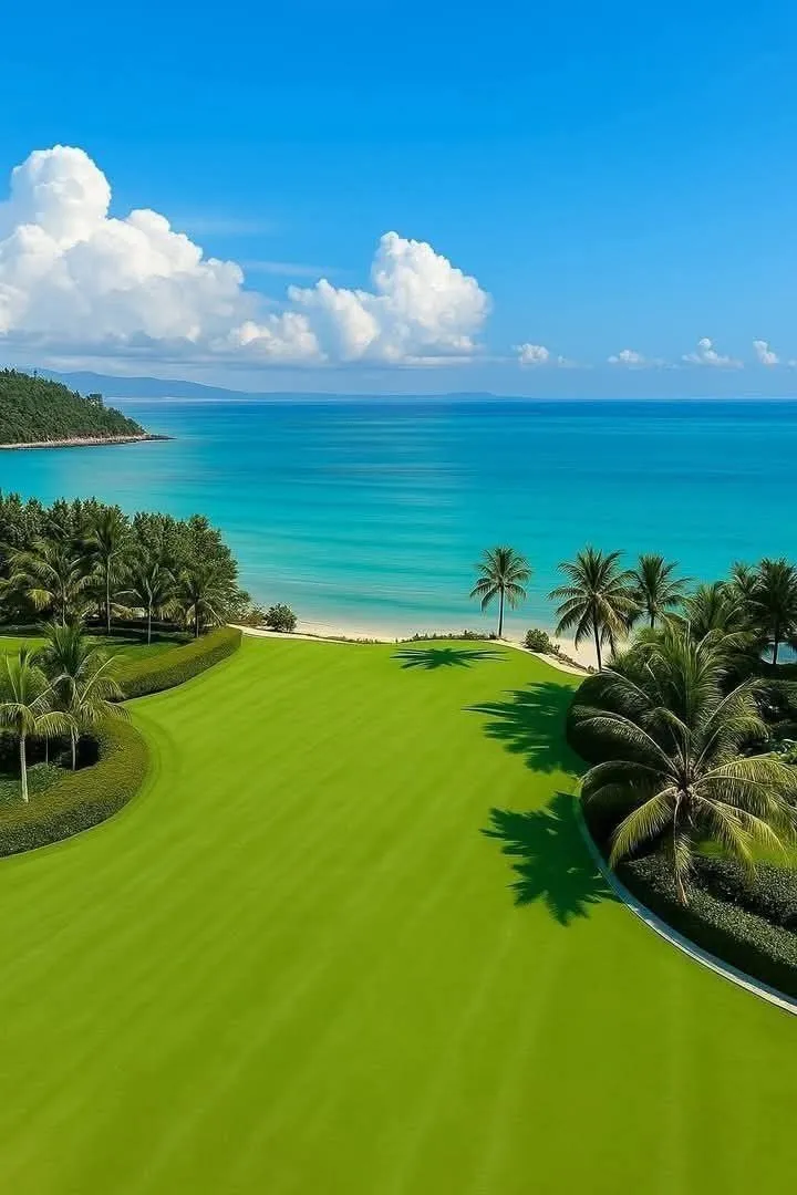 an aerial view of a golf course near the ocean with palm trees in the foreground