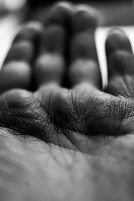 Free Hand Line photo and picture