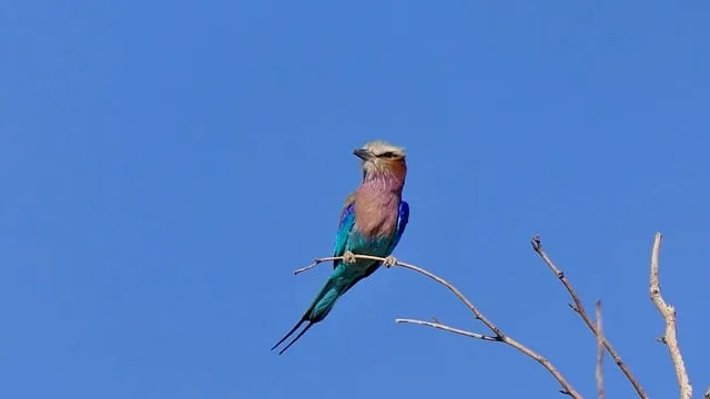 Free Namibia Africa photo and picture