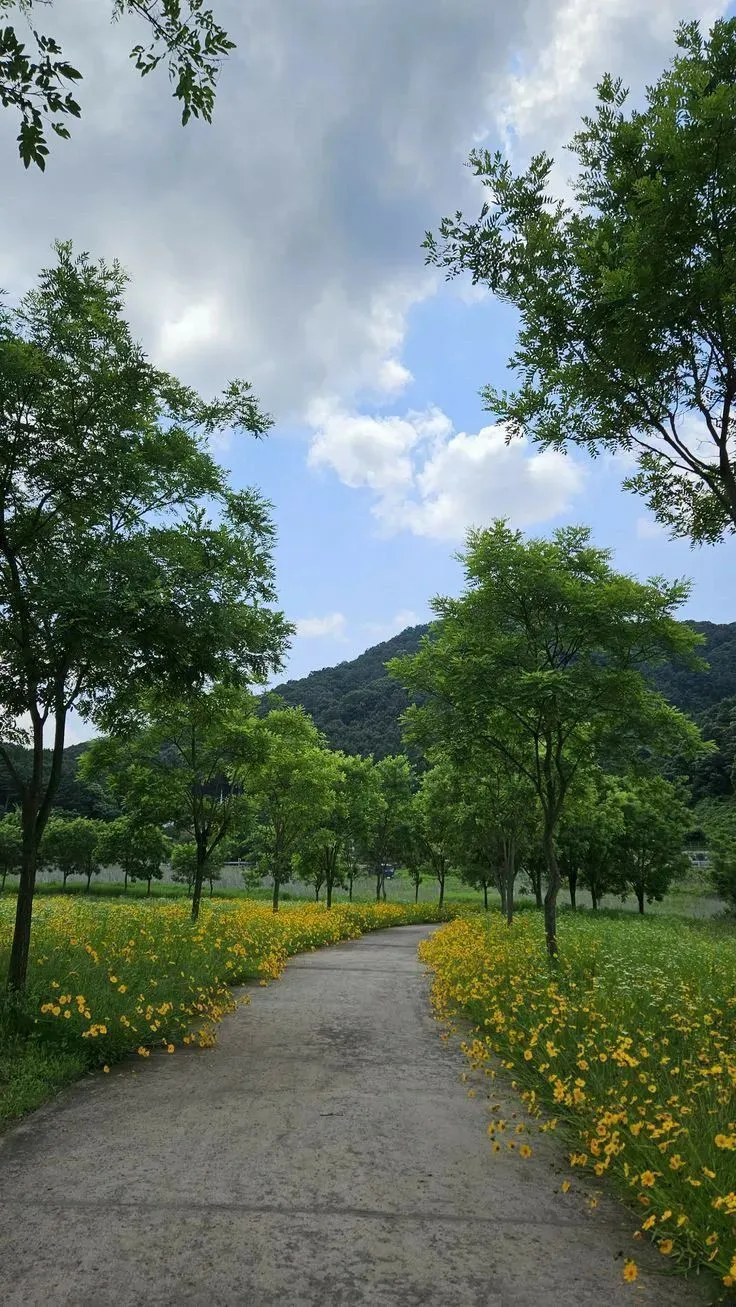a dirt road surrounded by trees and yellow flowers