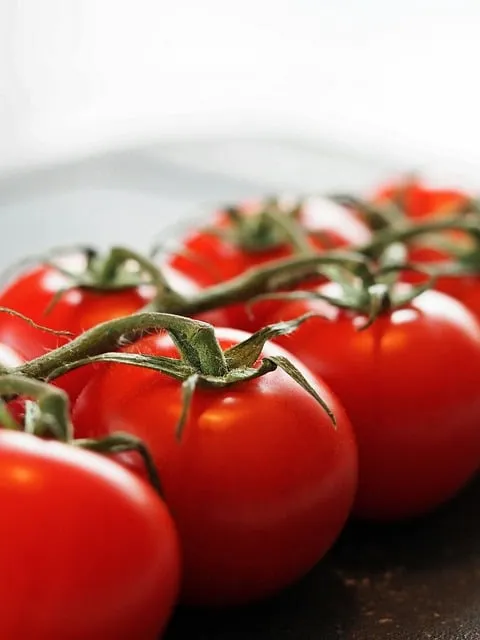 Free Tomatoes Vegetables photo and picture