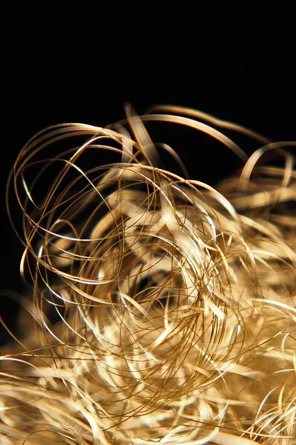 Free Christmas Decoration photo and picture