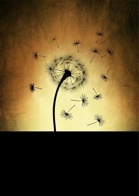 Free Dandelion Beautiful Wallpaper photo and picture
