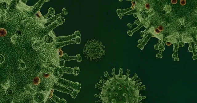 Free Virus Pathogen illustration and picture