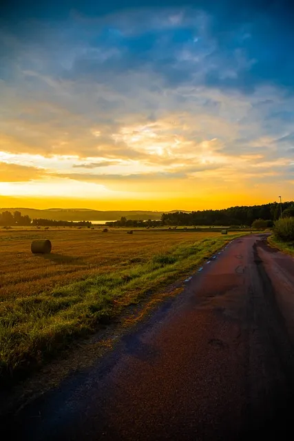 Free Road Pavement photo and picture
