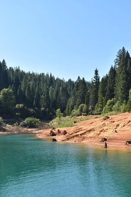 Free Water Ipad Wallpaper photo and picture