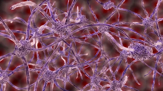 Free Abstract Neurons illustration and picture