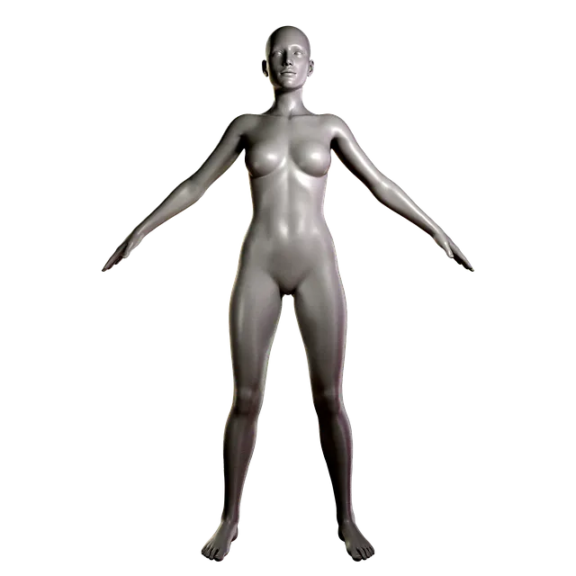 Free Female Body Dummy illustration and picture