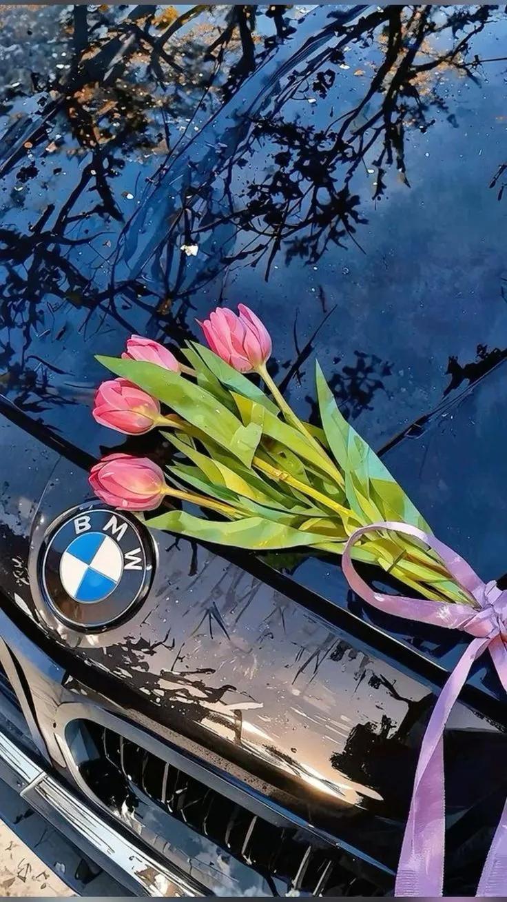 pink tulips tied to the hood of a bmw car