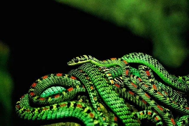 Free Wallpaper Beautiful Wallpaper photo and picture