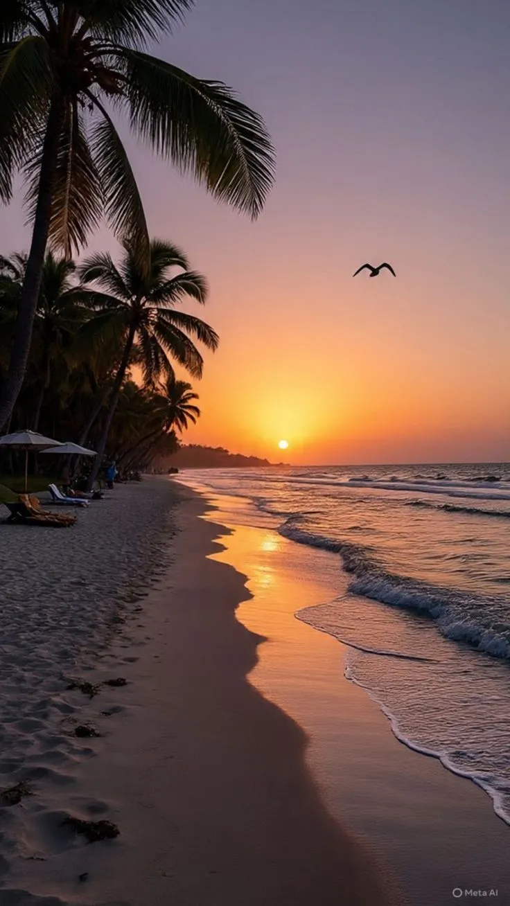 the sun is setting over the beach with palm trees