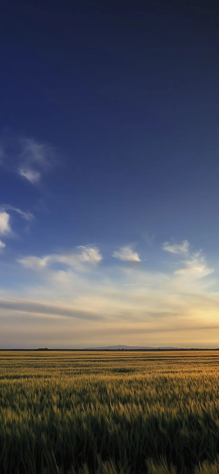 the sun is setting over a large field of grass in front of a blue sky
