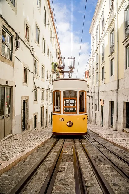 Free Lisbon Tram photo and picture