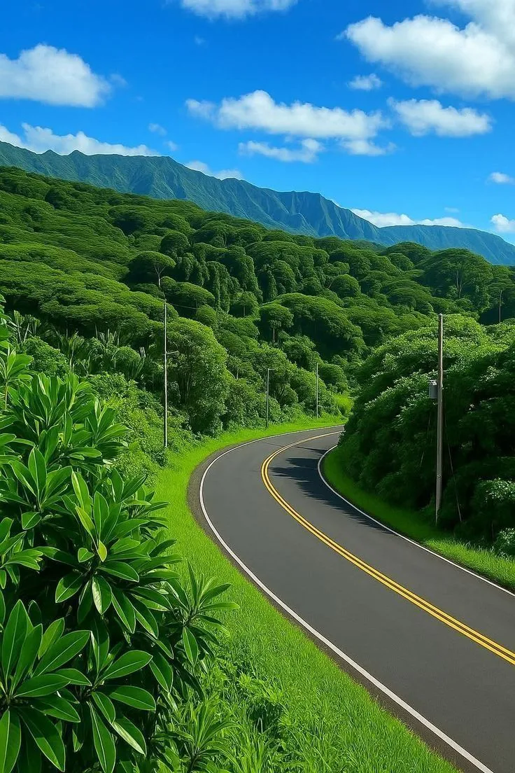 an empty road in the middle of a lush green valley