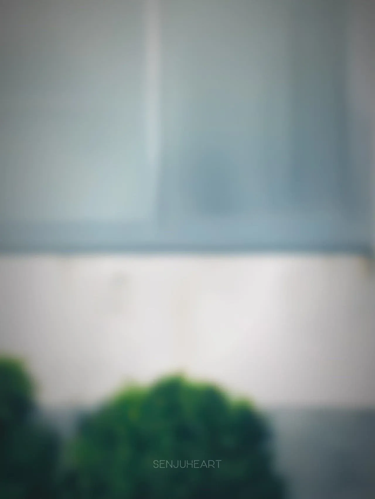 TikTok · senjuheart