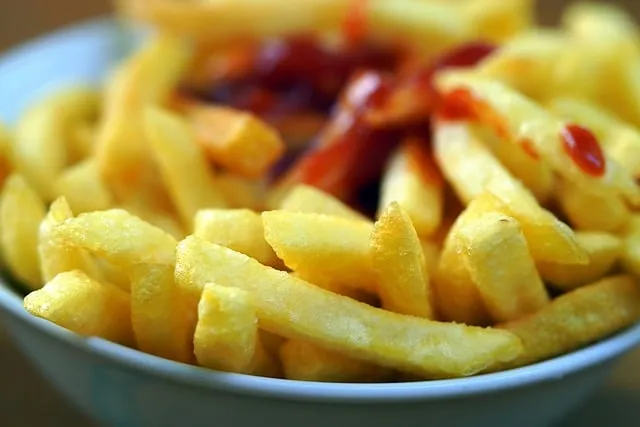 Free Frits Fries photo and picture