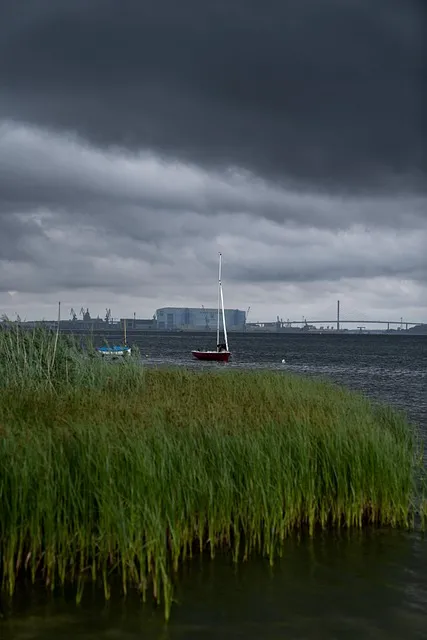 Free Sea Iphone Wallpaper photo and picture