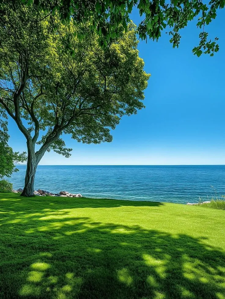 the grass is green and there are trees in front of the water