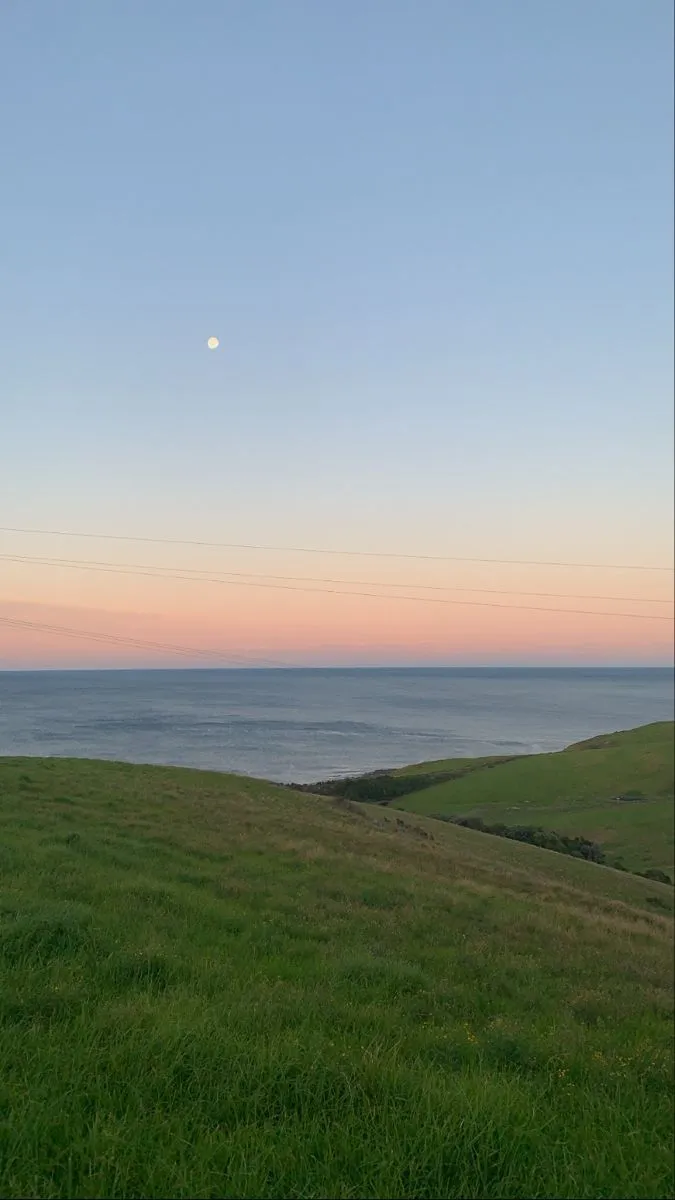 the moon is setting over the ocean and grassy hills