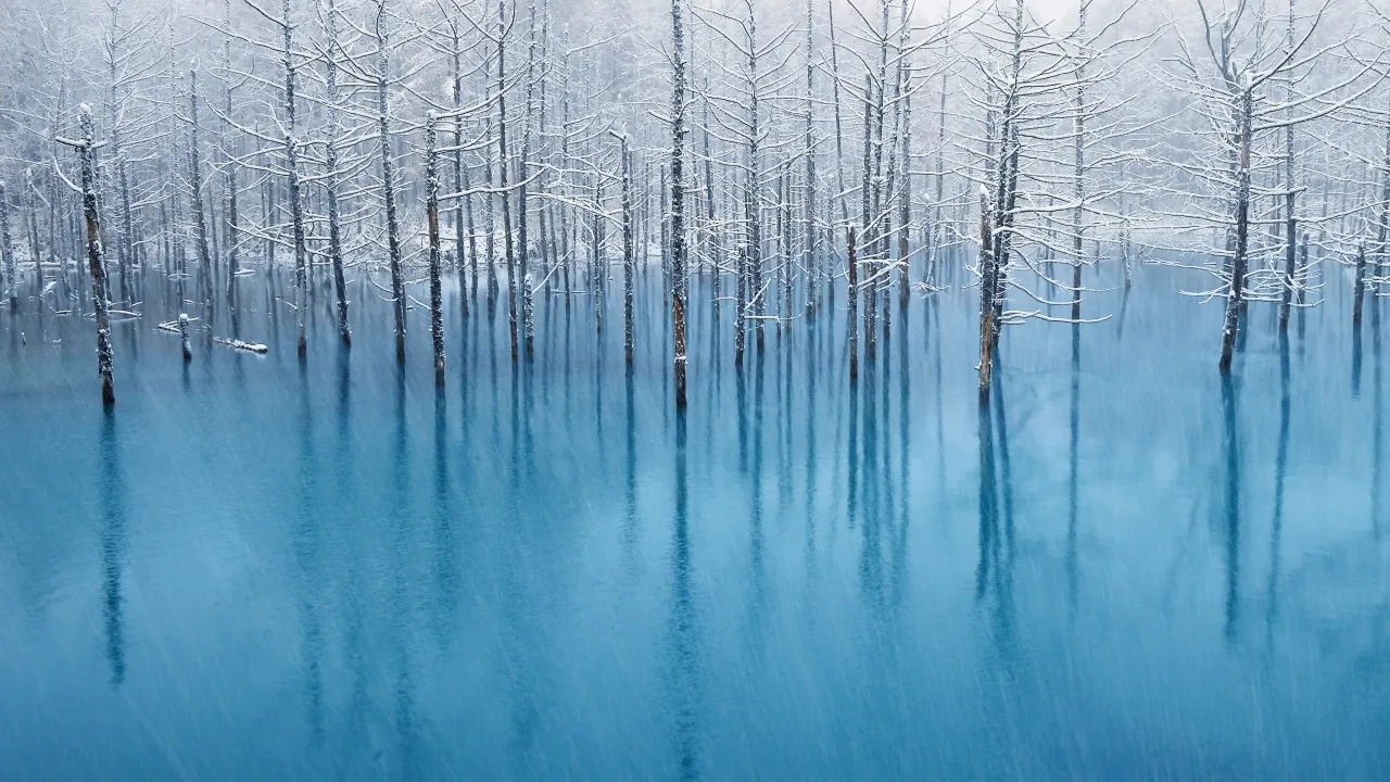OS X Mountain Lion, Winter, Frozen trees, Reflection, Blue aesthetic, Snow covered, Stock, Mac OS X