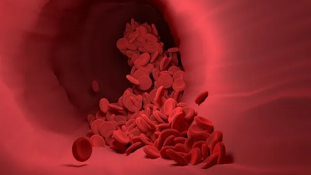 Free Red Blood Cells Blood Vessel photo and picture