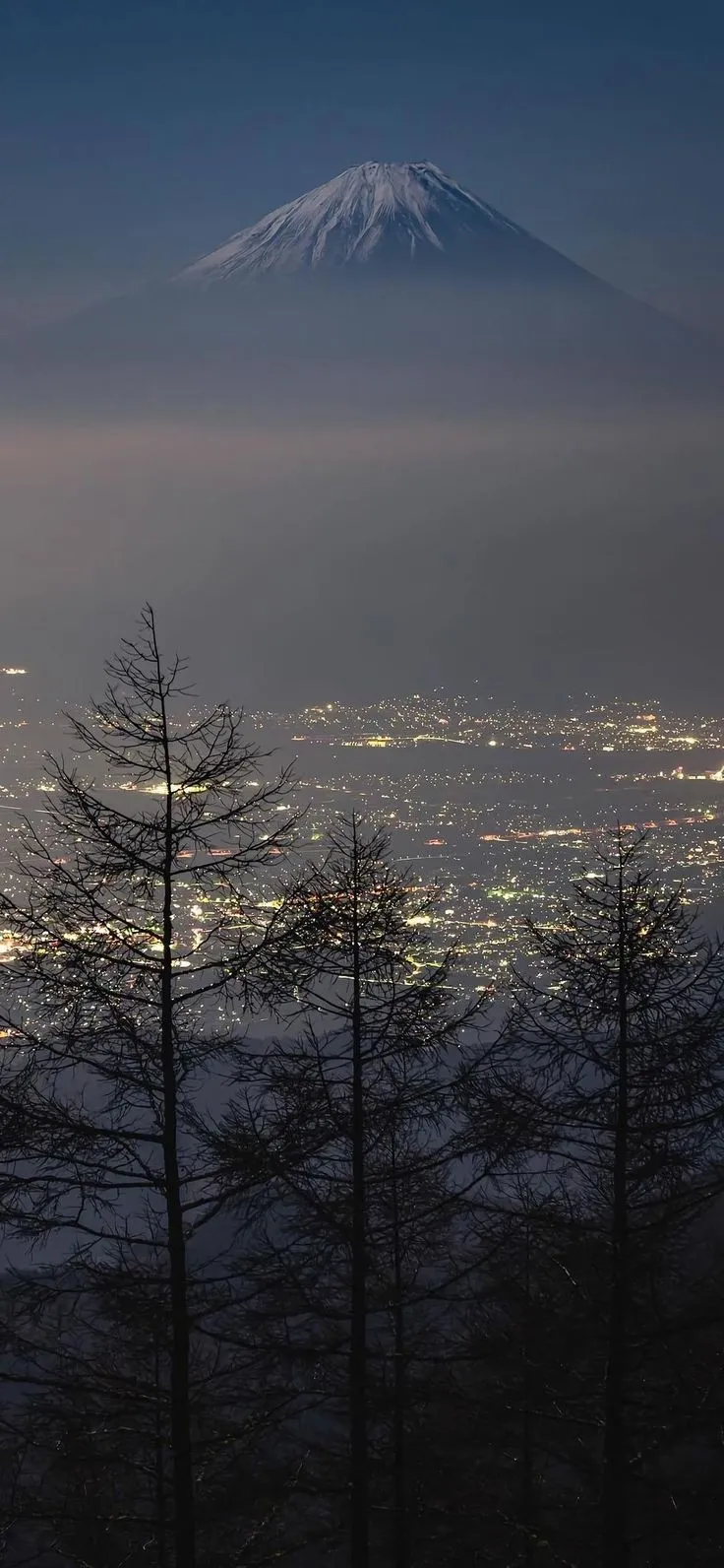 there is a mountain in the distance with trees around it and lights on all sides