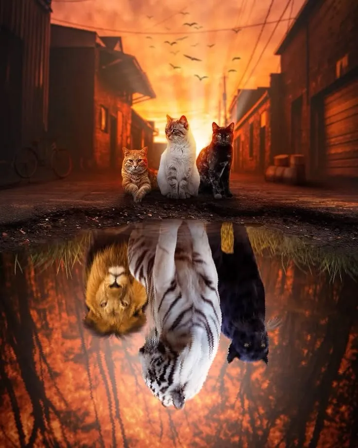 Les dessins fantomatiques de Willie Hsu semblent prendre vie dans le papier