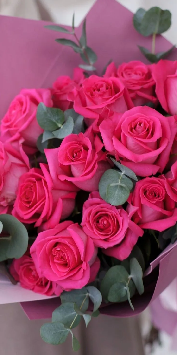 a bouquet of pink roses with green leaves