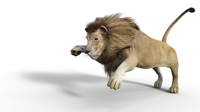 Free Lion Male illustration and picture