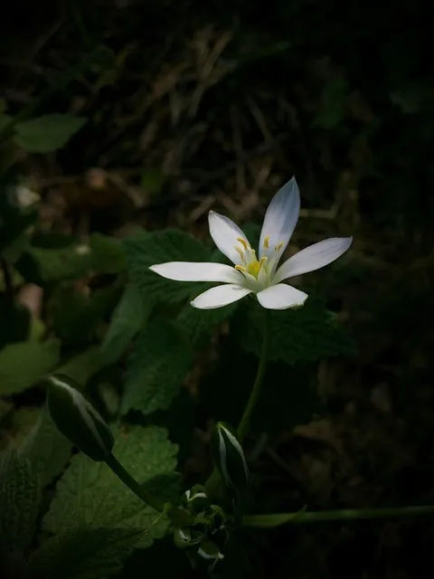 Free Justin White photo and picture