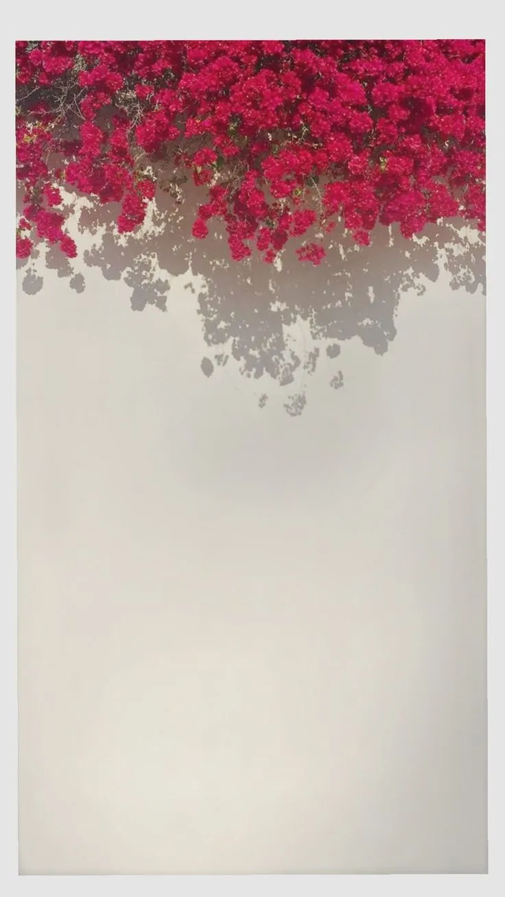 red flowers growing on the side of a white wall