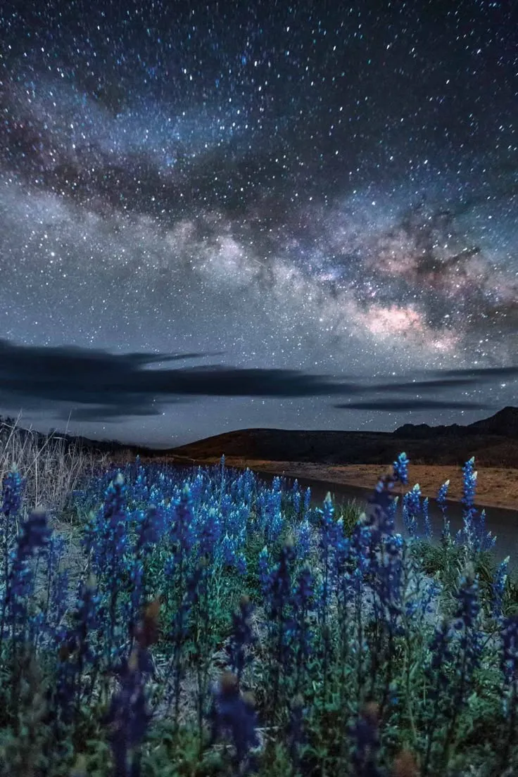 How Communities are Joining the Fight to Keep Texas’ Night Skies Big and Bright