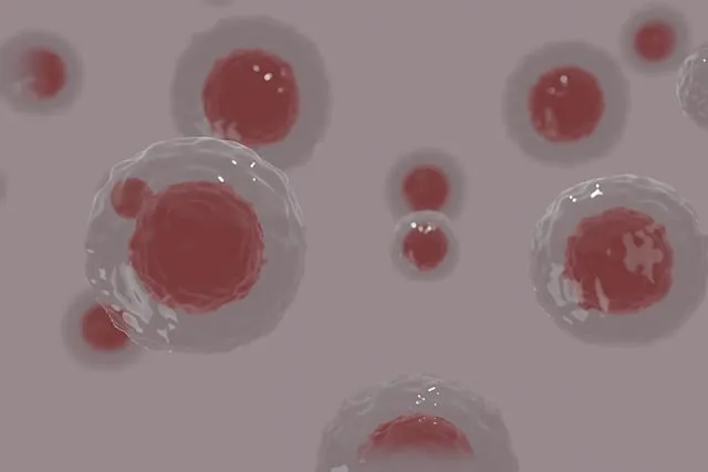 Free Cells Cell illustration and picture