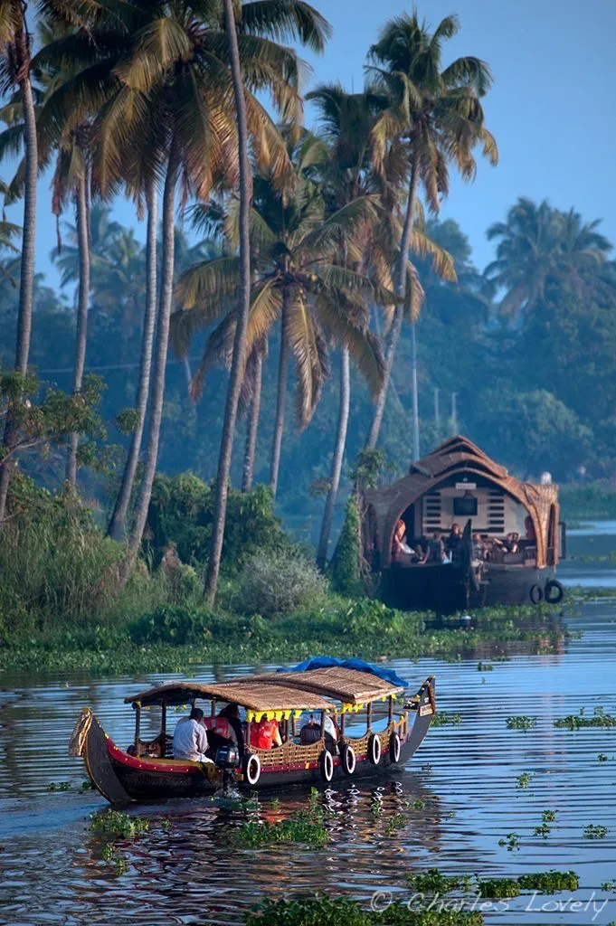 two boats on the water with palm trees in the backgrouds and people inside them