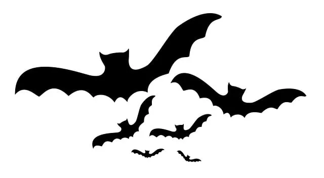 Free Bat Fear illustration and picture