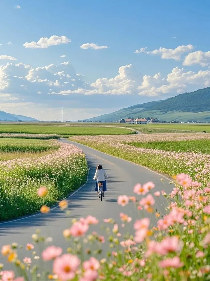 a person riding a bike down a road in the middle of a flowery field