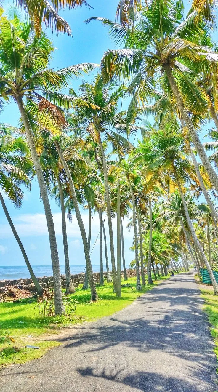 Pedal Goa | Travel + Fitness 🚲✈🌴