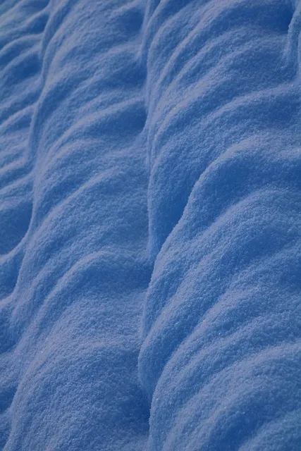 Free Snow Winter Landscape photo and picture