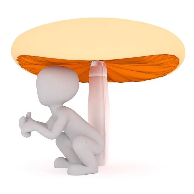 Free Purchasing Food illustration and picture