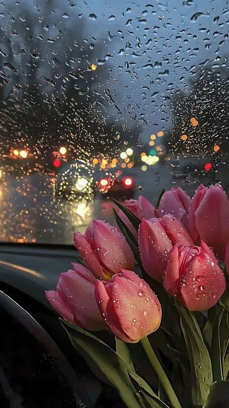 pink tulips sitting in the front seat of a car on a rainy day