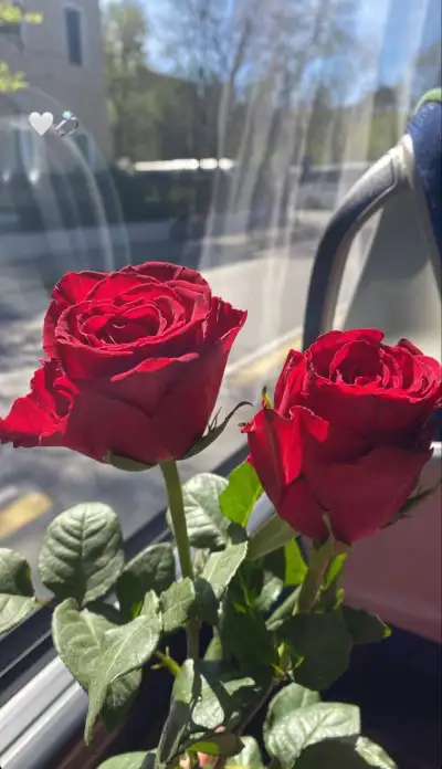 🌹