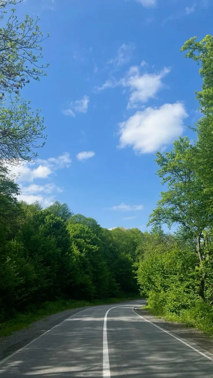 an empty road surrounded by green trees and blue skies with clouds in the sky above