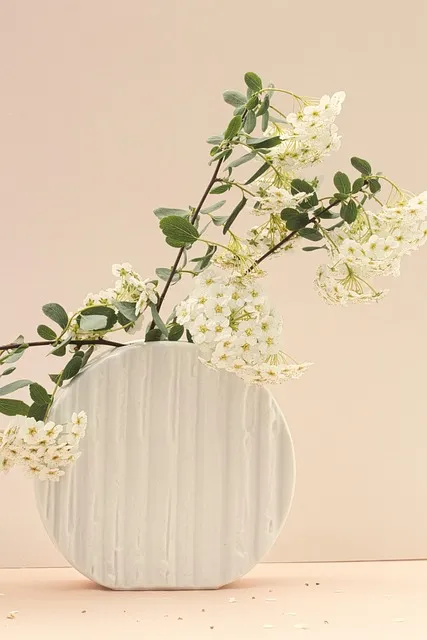 Free Flowers White Flowers photo and picture