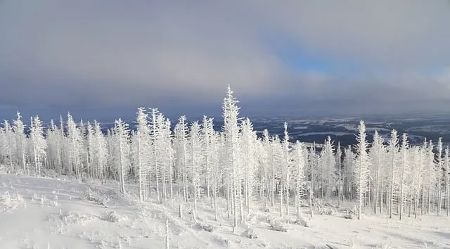 Free Snow Cold photo and picture