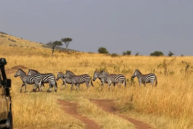 Free Kenya Africa photo and picture